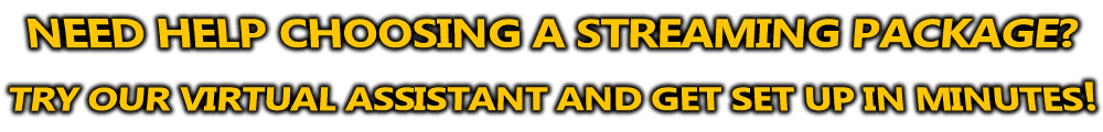 Virtual Assistant